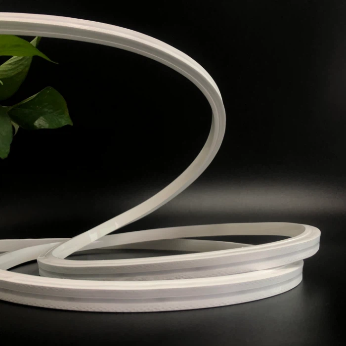 LED Neon Flex Strip​